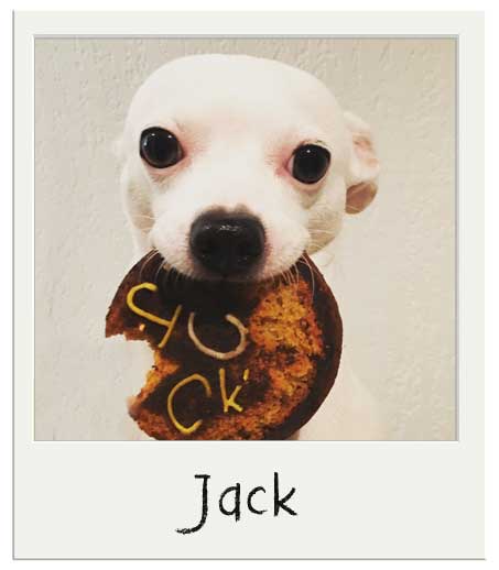 Jack